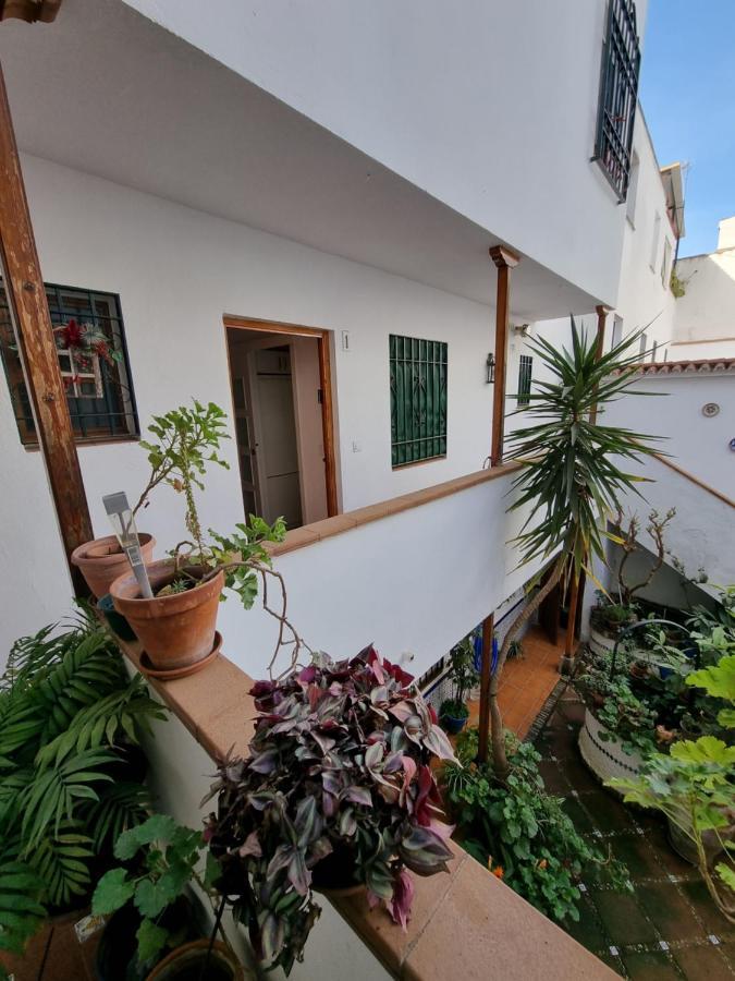 Apartamentos El Alcazar Viejo Córdoba Exterior foto